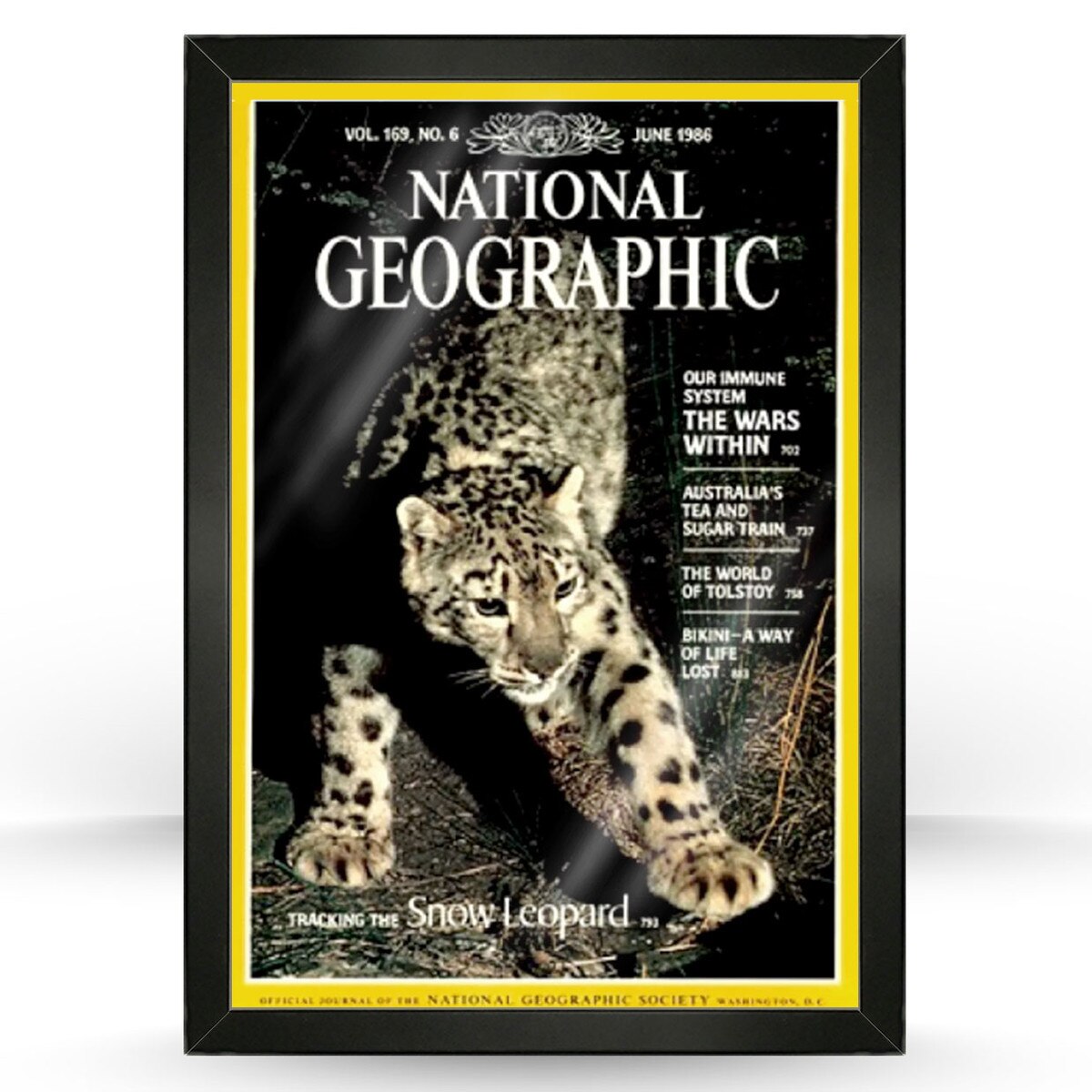 National Geographic Frame Kit